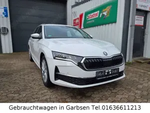 Skoda Octavia Combi 2.0 TDI Selection FACELIFT Kamera AppleCar Bild 2