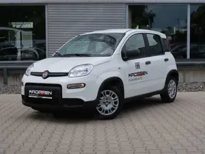 Fiat Panda Pandina 1,0 GSE Klimaanlage PDC M+S Bild 2