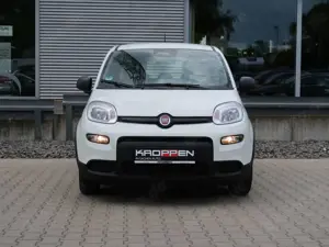 Fiat Panda Pandina 1,0 GSE Klimaanlage PDC M+S Bild 3