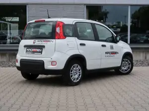 Fiat Panda Pandina 1,0 GSE Klimaanlage PDC M+S Bild 4