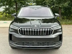 Skoda Kodiaq 2.0 TDI 4x4 142 KW DSG Exclu. Matrix AHK