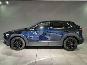 Mazda CX-30 5WGN 2.5L e-SKYACTIV G 140ps 6AT FWD Homura Bild 3