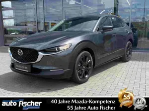 Mazda CX-30 2.0 (186PS) Autom. Homura Rückfahrk. Navi