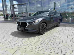 Mazda CX-30 2.0 (186PS) Autom. Homura Rückfahrk. Navi Bild 3