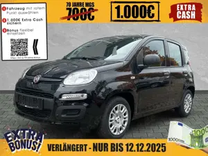Fiat Panda Fiat Pandina POP #PDC #Klima #POP