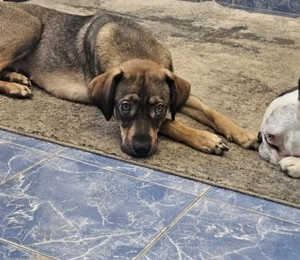 Karina  ein entzückendes Mädchen 