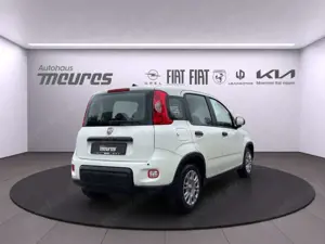 Fiat Panda PANDINA Hybrid 70 PS, Allwetter, Gelato Weiß, Klim Bild 4