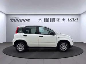 Fiat Panda PANDINA Hybrid 70 PS, Allwetter, Gelato Weiß, Klim Bild 5