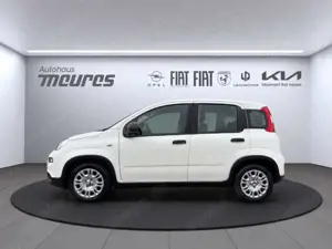 Fiat Panda PANDINA Hybrid 70 PS, Allwetter, Gelato Weiß, Klim Bild 2