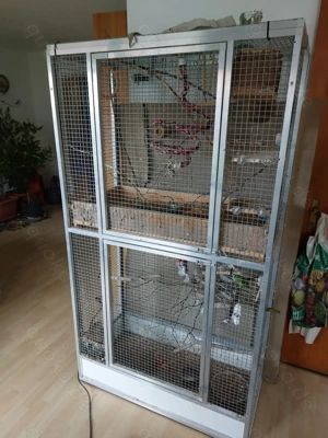 Voliere Kobold Sperlingspapageien Aluminium Käfig Vögel Sittiche Papagei  Bild 5