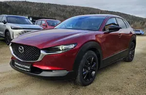Mazda CX-30 2.5 e-SKYACTIV G 140 6AT Homura