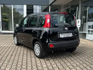 Fiat Panda 1.0 Hybrid MY'25 + City Paket *PDC hi*ZV*Bluetooth Bild 2