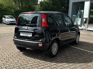 Fiat Panda 1.0 Hybrid MY'25 + City Paket *PDC hi*ZV*Bluetooth Bild 3