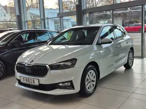 Skoda Fabia 1.0 TSI Selection *5 Jahre Garantie*