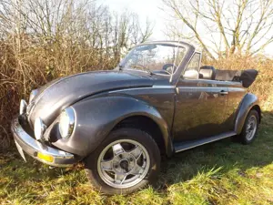 Volkswagen Käfer - todschick und perfekt!