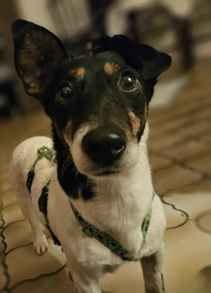 Marcella würde gerne Weihnachten mit ihrer neuen Familie feiern