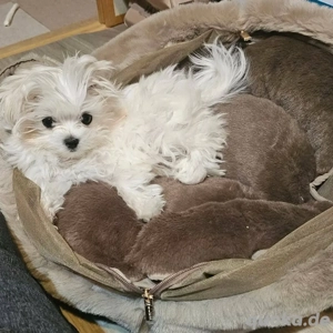 Vorsicht vor dieser Anzeige!!!!