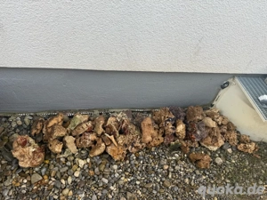 Totgestein Meerwasser Aquarium Gestein