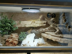 Terrarium für Echsen o. Schildkröte 