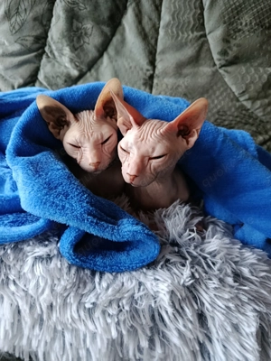 Uschi und Tilli suchen ein neues Zuhause 