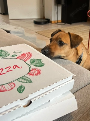 Mama mit Herz sucht Sofaplatz fürs Leben