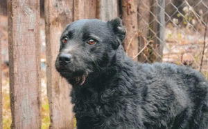 Strahlemann Mupi sucht seine Menschen