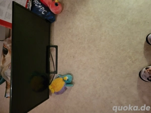 verkaufe ein Fernseher mit hdvi  