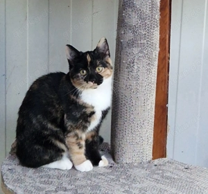 Bezaubernde Mimi sucht ihre Familie