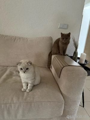 Meine 2 Liebevollen Junioren 