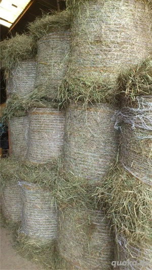 Heu Rundballen d=130cm