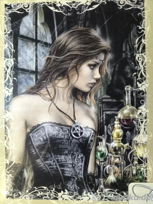 Heye Puzzle 2x 1000 Favole Poison&Dress Bild 4