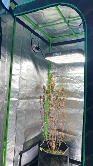 LED-Lampe 200 Watt (wie neu)