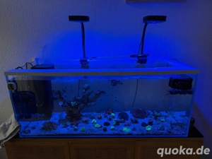 Weißglas Aquarium & Technik