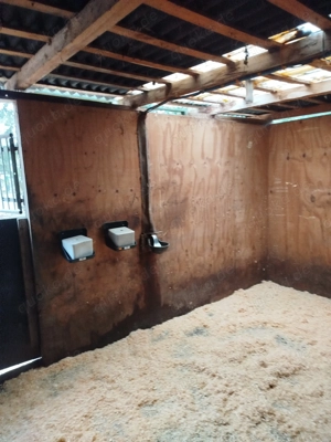Pferdestall, Box für Pferde,Stall 