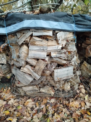 Kaminholz, Brennholz, Feuerholz, Holz 