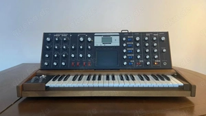 Moog Minimoog Voyager - Synthesizer - Walnut Edition mit White LEDs