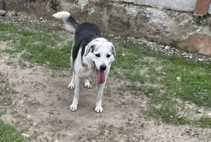 Zeigst du Silvan, dass das Leben auch schön sein kann? Bild 6