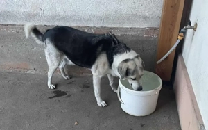 Zeigst du Silvan, dass das Leben auch schön sein kann? Bild 3