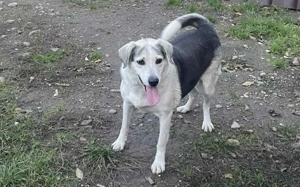 Zeigst du Silvan, dass das Leben auch schön sein kann?