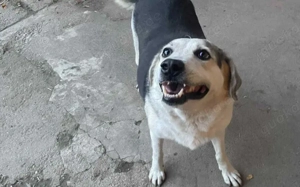 Zeigst du Silvan, dass das Leben auch schön sein kann? Bild 2