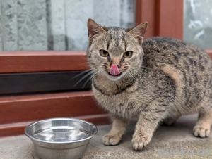 Ich suche jemanden sofort, der sich um mich kümmert.