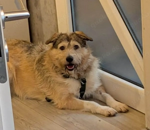 Freundliche Mia sucht Ihre Herzensmenschen