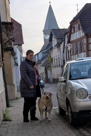 Freundliche Mia sucht Ihre Herzensmenschen Bild 9