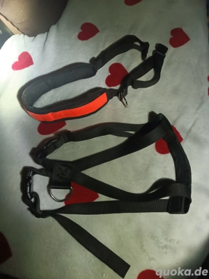 Hunde Trekking-  Brustgeschirr schwarz verstellbar L + Jogging-gürtel reflektierend 