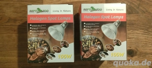 ReptiZoo Halogen Spot (UVA Basking) Lampe 100 Watt