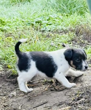 Partner auf Lebenszeit