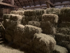 Heuballen 11-13Kg aus dem Odenwald 