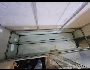 Terrarium Paludarium