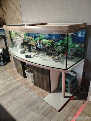 Panorama Becken 1000 Liter mit Zubehör 