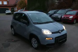 Fiat Panda Bild 2